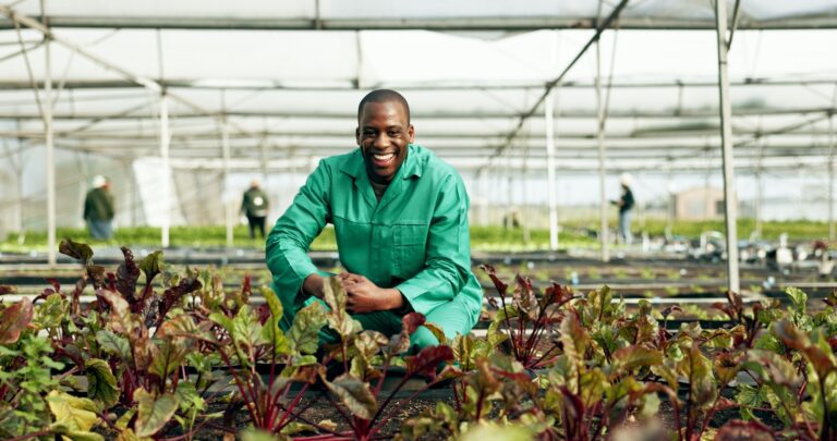 Greenhouse, farmer and portrait of man with vegetables growth, sustainability and eco friendly agri